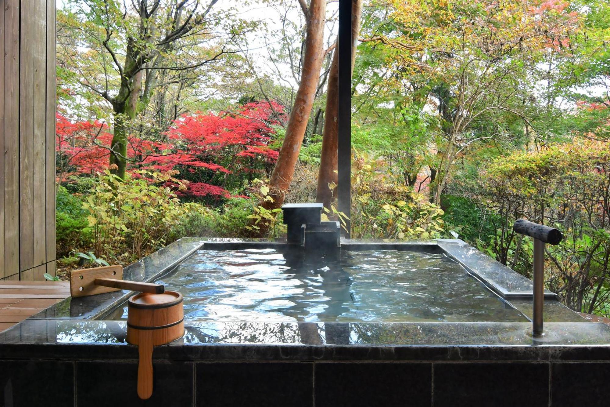 Hakone Gora Byakudan Hotel Exterior photo